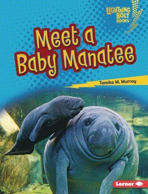 bokomslag Meet a Baby Manatee