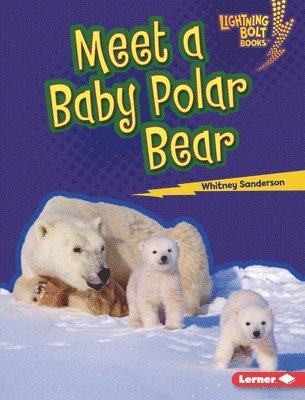 bokomslag Meet a Baby Polar Bear