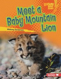 bokomslag Meet a Baby Mountain Lion
