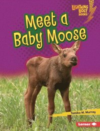 bokomslag Meet a Baby Moose