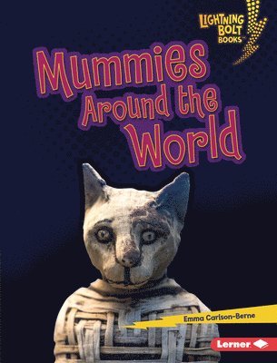 bokomslag Mummies Around the World