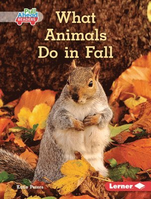 What Animals Do in Fall 1