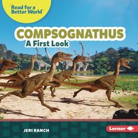 bokomslag Compsognathus