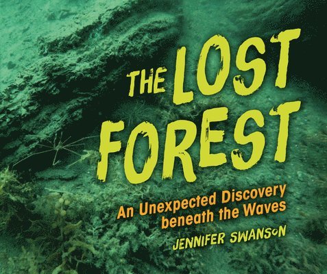 The Lost Forest: An Unexpected Discovery Beneath the Waves 1