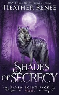 bokomslag Shades of Secrecy: Prequel Novella