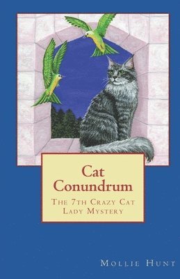 Cat Conundrum 1
