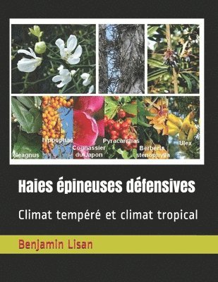 Haies épineuses défensives: Climat tempéré et climat tropical 1