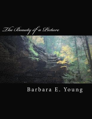 The Beauty of a Picture: A collection of my photography 1