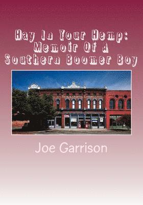 Joe Garrison - Hay In Your Hemp: Memoir Of A Southern Boomer Boy, Häftad