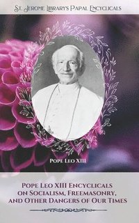 bokomslag Pope Leo XIII Encyclicals on Socialism, Freemasonry, and Other Dangers of Our Times