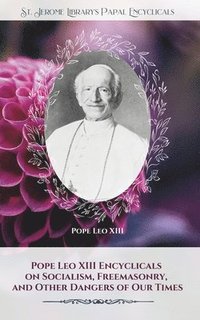 bokomslag Pope Leo XIII Encyclicals on Socialism, Freemasonry, and Other Dangers of Our Times