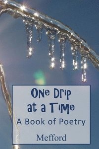 bokomslag One Drip at a Time: A Book of Poetry