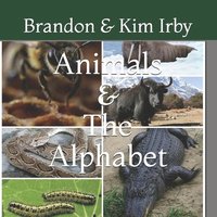 bokomslag Animals And The Alphabet