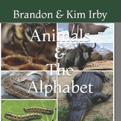 Animals And The Alphabet 1