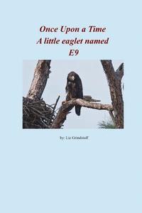 bokomslag Once Upon a Time A little Eaglet named E9