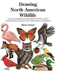 bokomslag Drawing North American Wildlife: A step by step guide to drawing wildlife from Prairie, Desert, Rocky Mountain, Deciduous Forest, Wetland and Coastal