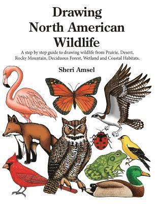 Drawing North American Wildlife: A step by step guide to drawing wildlife from Prairie, Desert, Rocky Mountain, Deciduous Forest, Wetland and Coastal 1