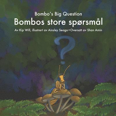 Bombo's Big Question 1