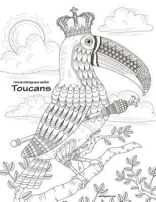 bokomslag Livre de coloriage pour adultes Toucans 1