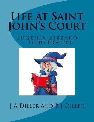 bokomslag Life at Saint John's Court: Beyond Life Series