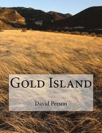bokomslag Gold Island