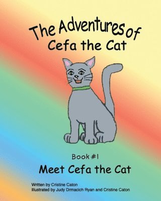 Meet Cefa the Cat 1