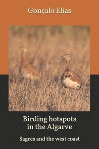 bokomslag Birding hotspots in the Algarve: Sagres and the west coast