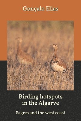 bokomslag Birding hotspots in the Algarve: Sagres and the west coast