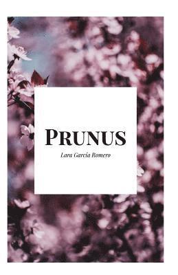 Prunus 1