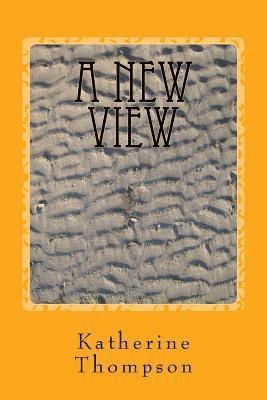 bokomslag A New View: Dissociative Identity Disorder in Picture