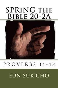 bokomslag SPRiNG the Bible 20-2A