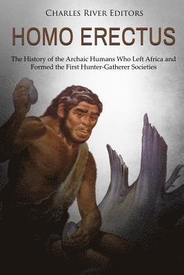 bokomslag Homo erectus