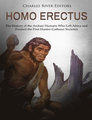 bokomslag Homo erectus