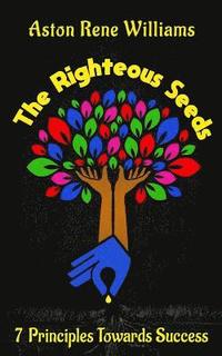 bokomslag The Righteous Seeds: 7 Principles Towards Success