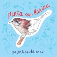 bokomslag Pinta con Karina: pajaritos chilenos