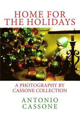 bokomslag Home for the Holidays: A Photography by Cassone Collection