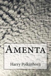 bokomslag Amenta