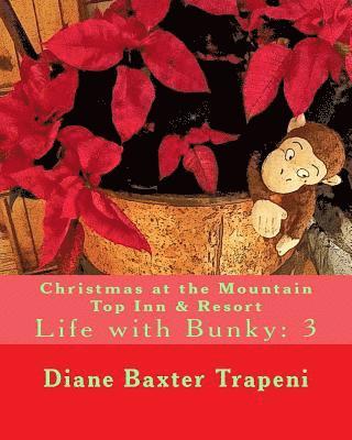 Sr. Stone, Kenneth - Christmas at the Mountain Top Inn & Resort: Life with Bunky: 3, Häftad