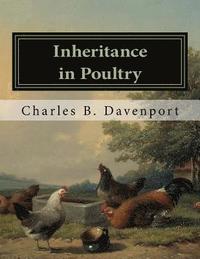 bokomslag Inheritance in Poultry