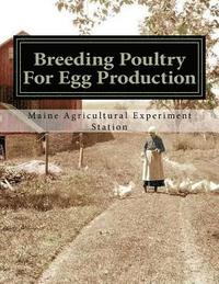 bokomslag Breeding Poultry For Egg Production