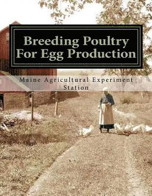 bokomslag Breeding Poultry For Egg Production