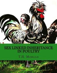 bokomslag Sex Linked Inheritance in Poultry