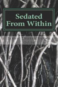 bokomslag Sedated from Within: The Challenge of Underdevelopment in Nigeria