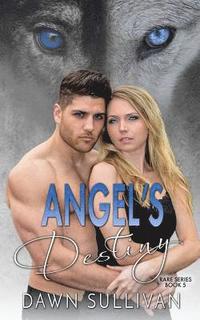 bokomslag Angel's Destiny