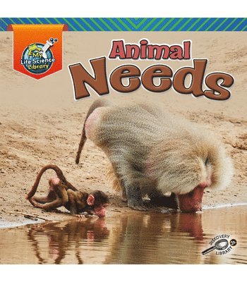 Lisa Amstutz - Animal Needs, Häftad