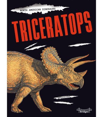 Anastasia Suen - Triceratops, Inbunden
