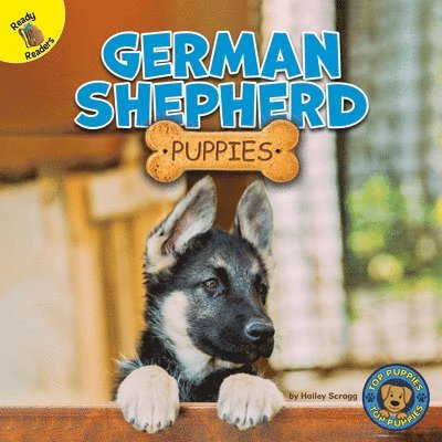 Hailey Scragg - German Shepherd Puppies, Inbunden