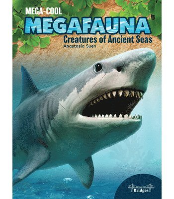 Anastasia Suen - Creatures of Ancient Seas, Häftad