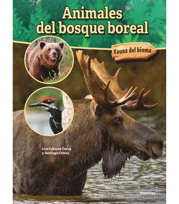 Lisa Colozza Cocca - Animales del Bosque Boreal: Boreal Forest Animals, Häftad