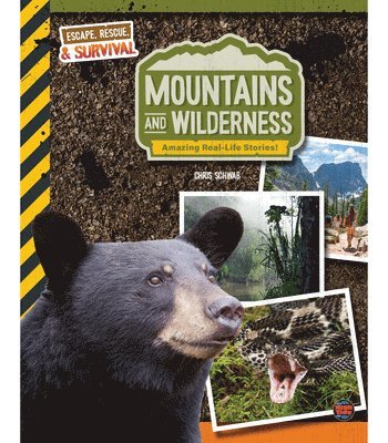 Mountains and Wilderness, Grades 4 - 9: Amazing Real-Life Stories! 1